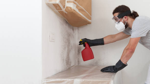 Professional Mold Testing technician working in Algonquin, MD