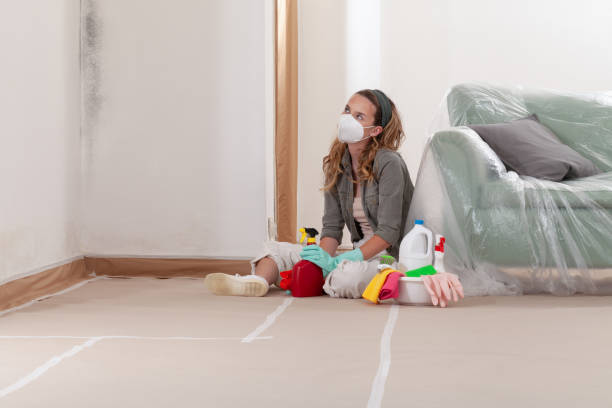 Reliable Mold Testing contractor in Algonquin, MD by WQB Mold Removal