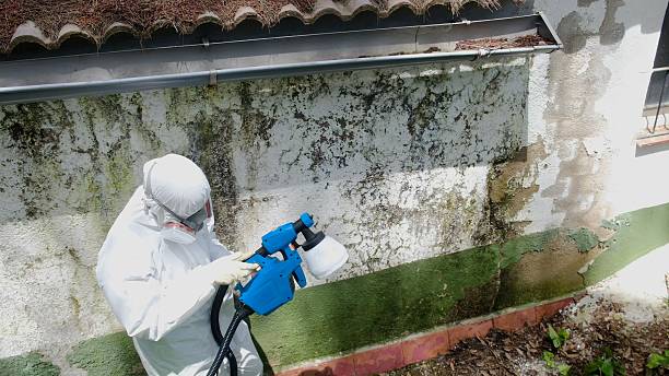 Top rated local Mold Testing specialists in Algonquin, MD
